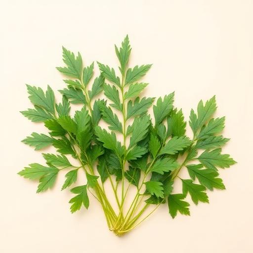 Karipata (Curry Leaves)